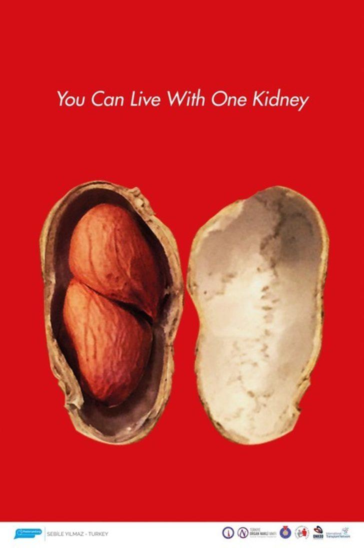 DPÜ’nün Uluslararası ‘Organ Bağışı’ konulu afiş yarışması G4