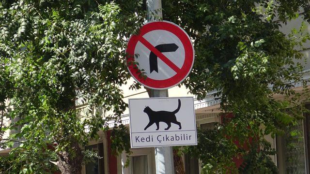 Avcılar'da sürücüler için ‘Kedi Çıkabilir’ tabelaları astılar
