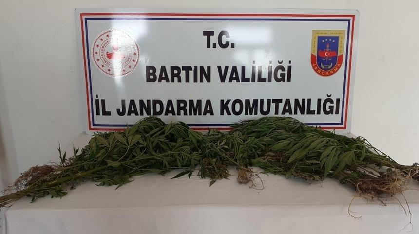 Bartın&rsquo;da Hint keneviri operasyonu: 2 g&ouml;zaltı