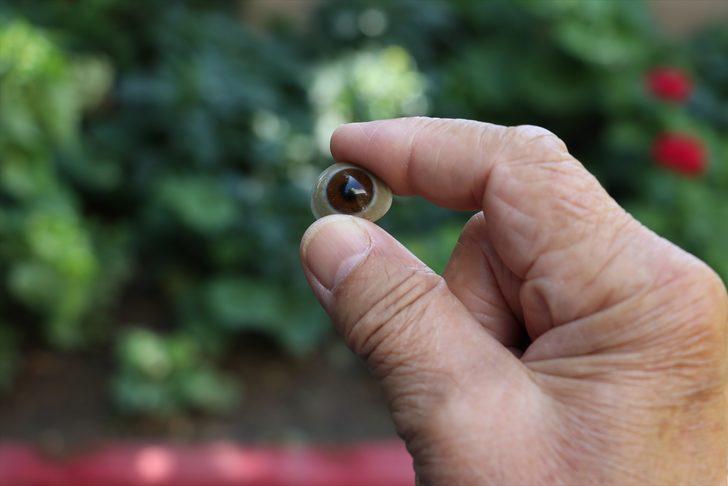 Gazi dedesinin protez gözüne 'gözü' gibi bakıyor G3