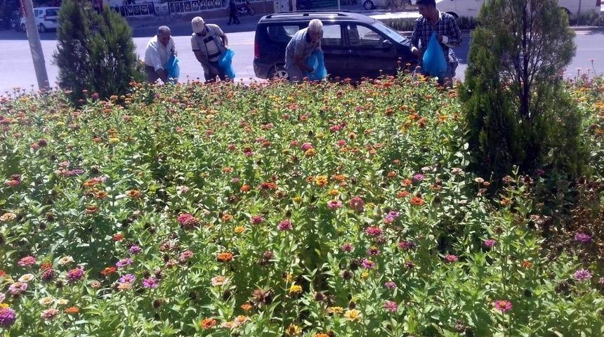 Kilis&rsquo;te &ccedil;i&ccedil;eklendirme &ccedil;alışmaları