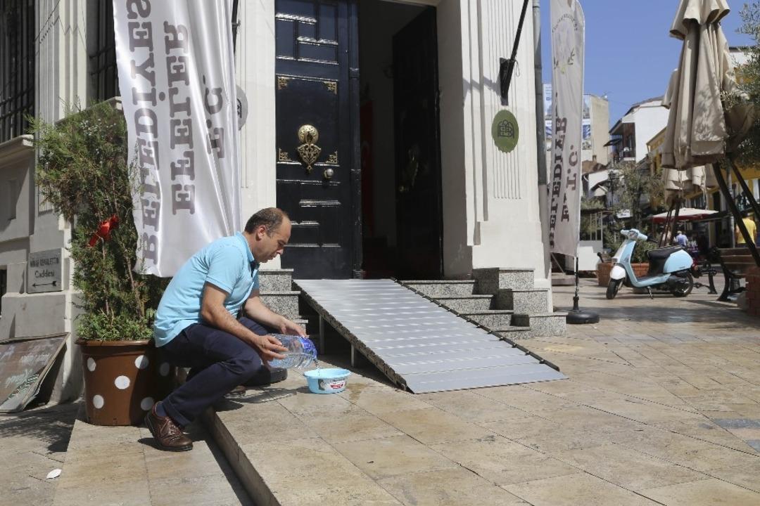 Efeler Belediyesi&rsquo;nden sokak hayvanlarını serinleten uygulama