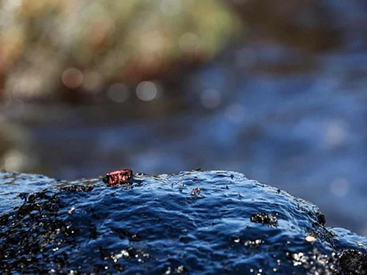 Şile sahilini siyaha boyayan yakıtın sırrı &ccedil;&ouml;z&uuml;ld&uuml;