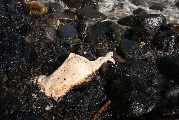 Şile sahilindeki yakıtın sırrı çözüldü G2