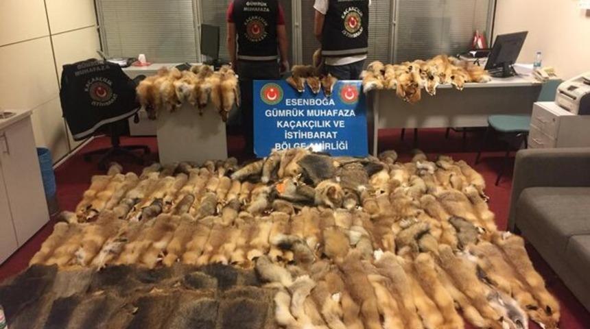 Esenboğa Havalimanı'nda 128 adet ele geçirildi! Değerleri tam 350 bin lira