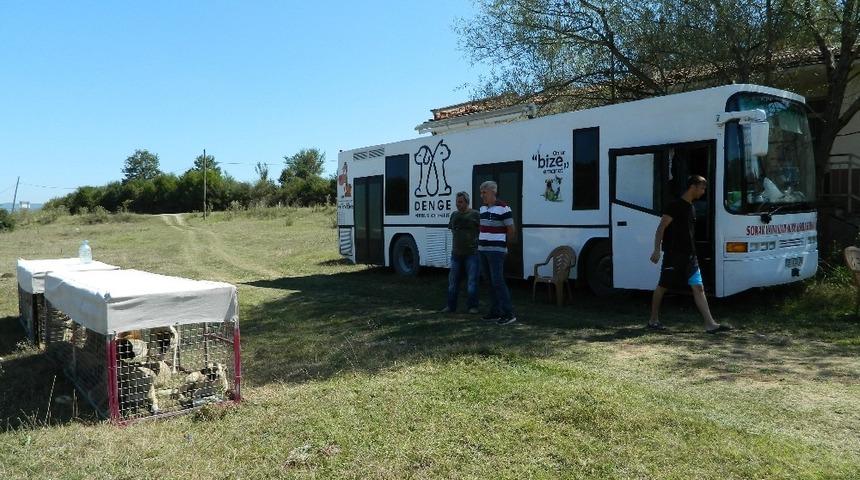 Bilecik&rsquo;te başıboş k&ouml;peklere sağlık kontrol&uuml; ve aşılama yapıldı