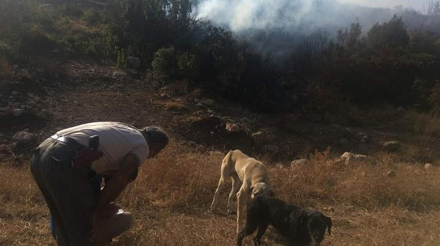 Doğayı ateşe veren g&ouml;&ccedil;men sınır dışı edildi