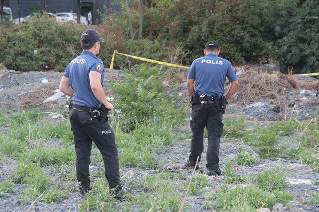 Zeytinburnu'nda boş arazide erkek cesedi bulundu