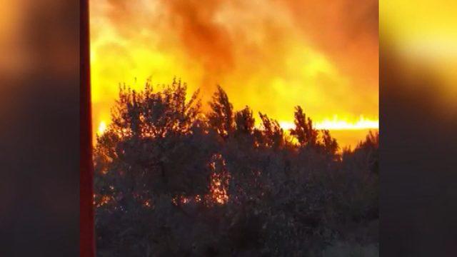 Rusya’da geniş alandaki çalı yangını paniğe neden oldu