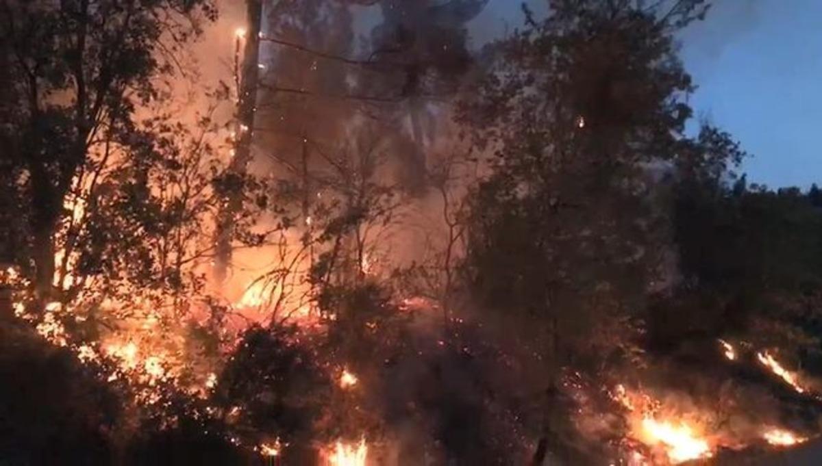 Jandarmanın dikkati facianın &ouml;n&uuml;ne ge&ccedil;ti!