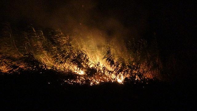 Edremit'te sazlık alanda yangın