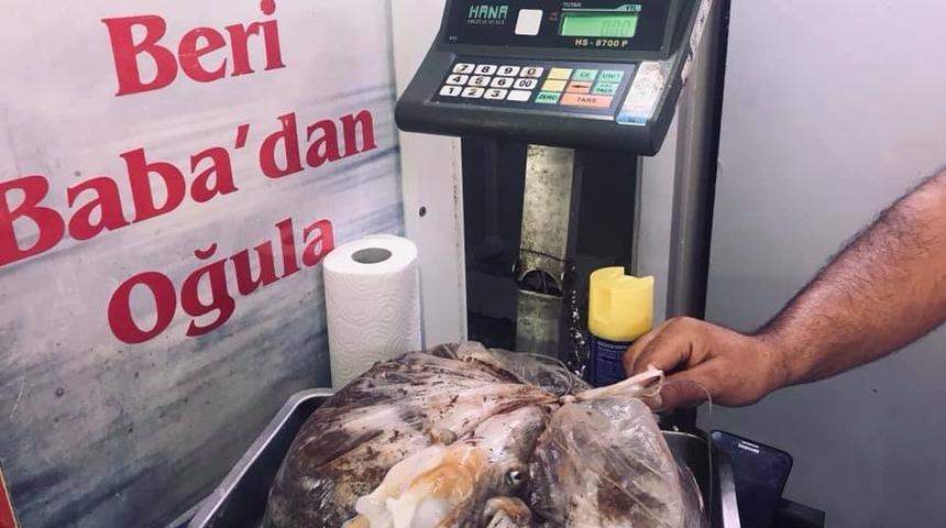 Didim’de kaçak avlanan 2 amatör cezalandırıldı