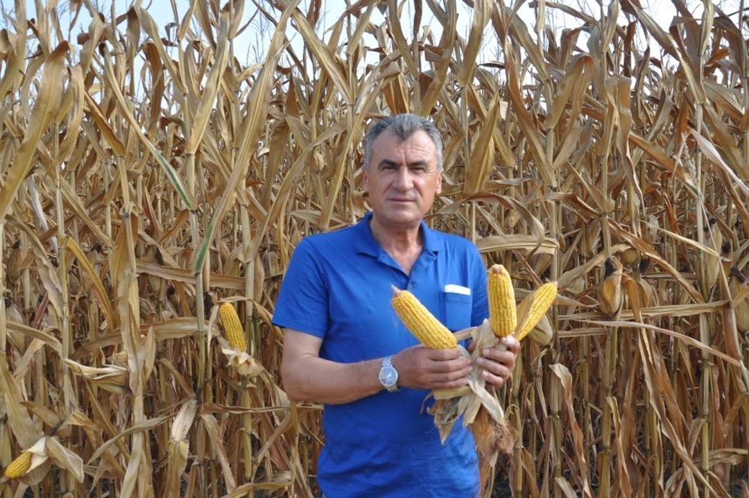 &Uuml;retici mısır fiyatlarının arttırılmasını istiyor