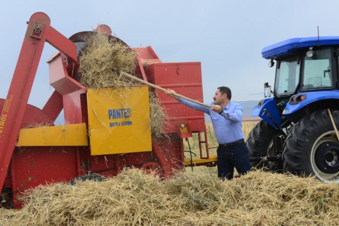 Vali Masatlı, &ccedil;ift&ccedil;ilerle birlikte tarlada hasat yaptı