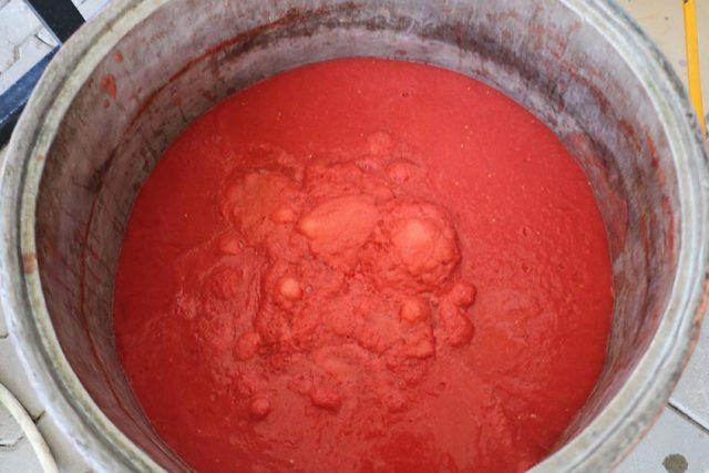 Kooperatif üyesi kadınlar, domates konservesiyle üretime başladı