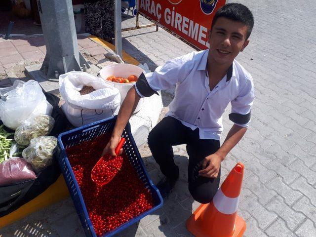 Şifa kaynağı kızılcık pazar tezgahında