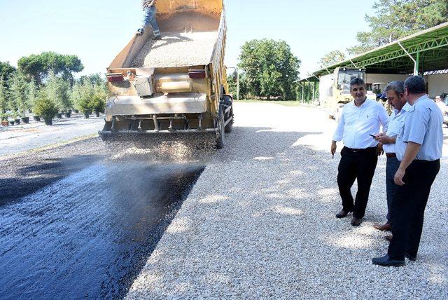 Yenişehir’de asfalt hamlesi