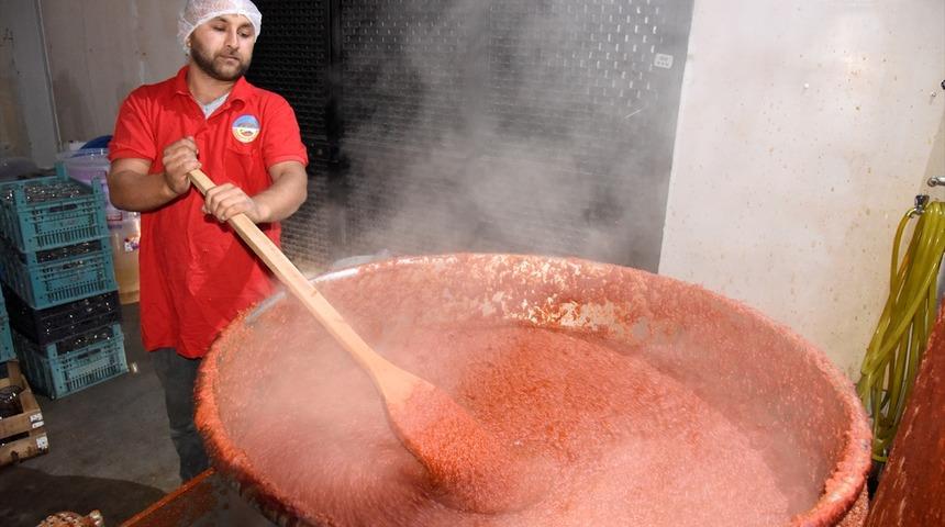 Belediyenin ürettiği Osmaneli salçasına Almanya'dan talep
