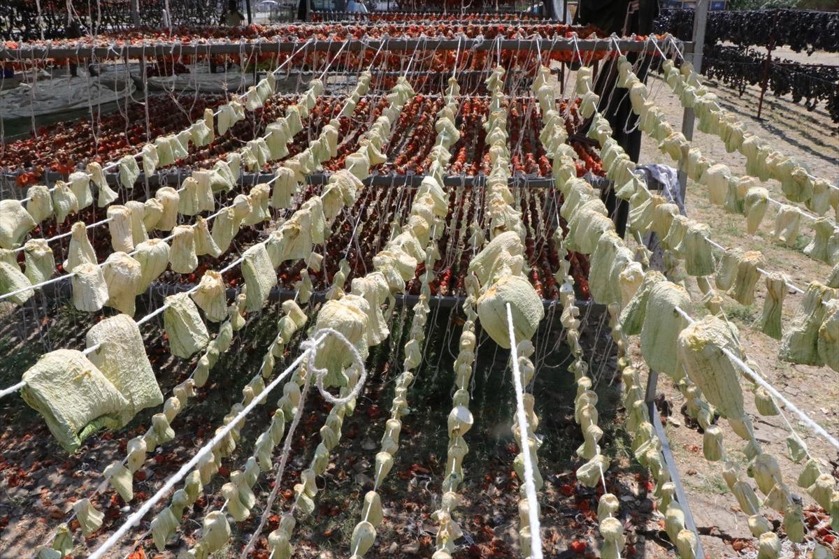 Kuruttukları dolmalıkları yurdun d&ouml;rt bir yanına satıyorlar