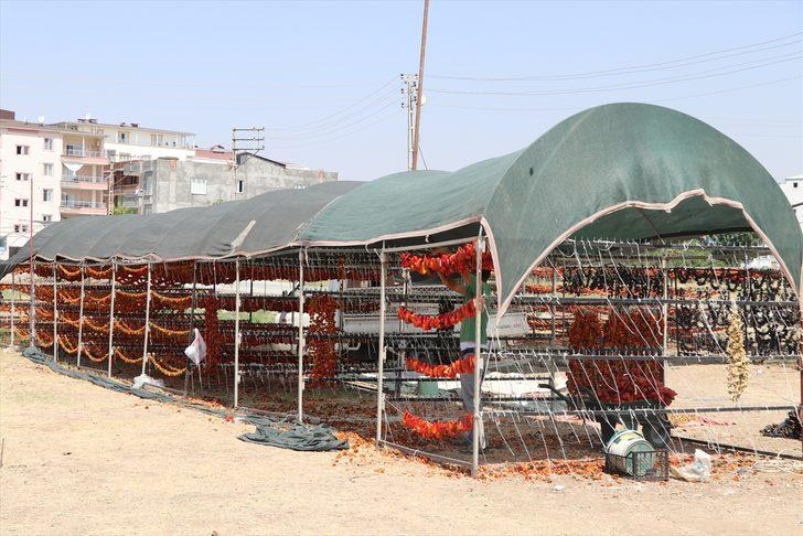 Kuruttukları dolmalıkları yurdun dört bir yanına satıyorlar G1