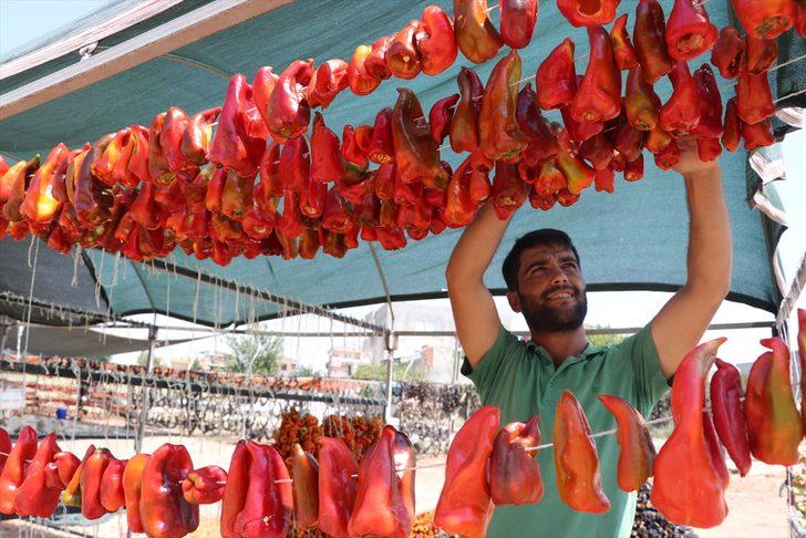 Kuruttukları dolmalıkları yurdun dört bir yanına satıyorlar G2