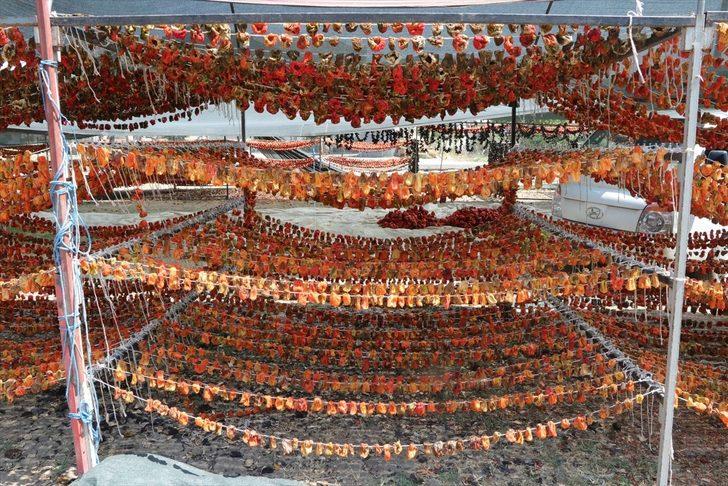 Kuruttukları dolmalıkları yurdun dört bir yanına satıyorlar G5