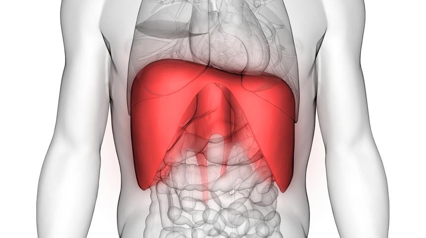 İki yıl sonra yeniden nefes aldı
