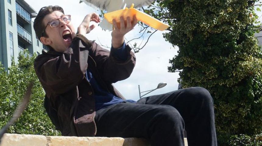 Kabadayılıkta sınır tanımayan o kuşlar!