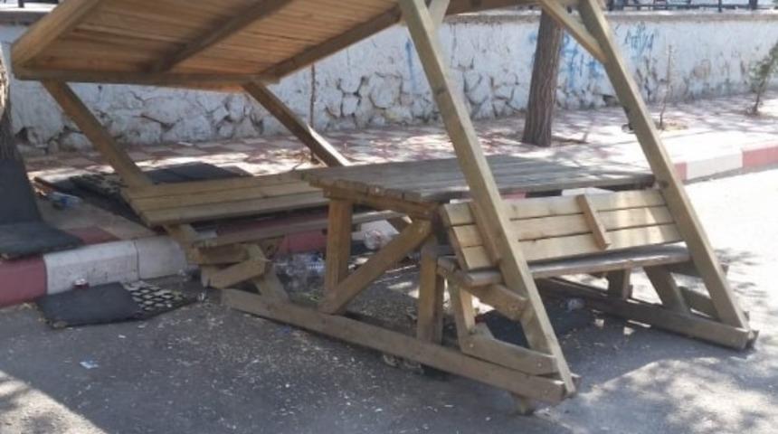 Okul bahçesindeki kamelyaları talan ettiler