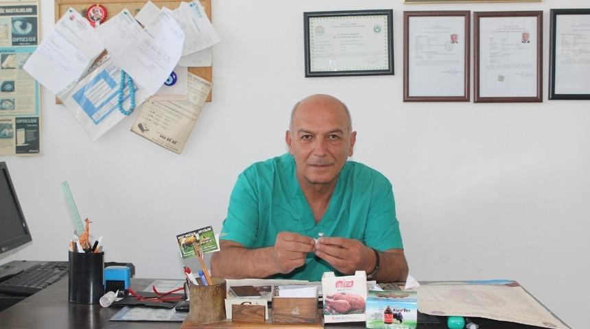 Veteriner hekim Kıranoğlu: "Sokak hayvanlarını kısırlaştırdıktan sonra takip edilmeleri için mutlaka barınaklar kurulmalı"