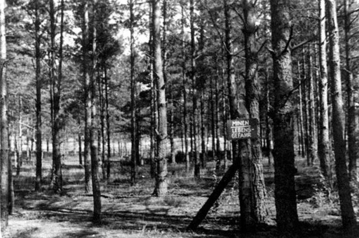 Dünyanın en acı karesi G4