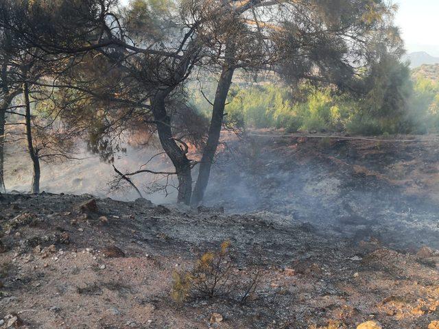 Eskişehir’de orman yangını erken müdahaleyle söndürüldü