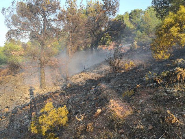 Eskişehir’de orman yangını erken müdahaleyle söndürüldü