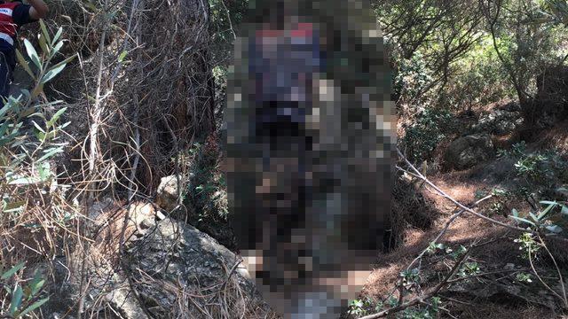 5 aydır kayıp olan kişinin ormanda ağaca asılı cesedi bulundu