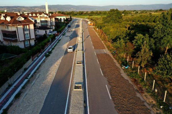 Bursa'da çekirdeği kurutmak için yolun birer şeridini kapattılar G1