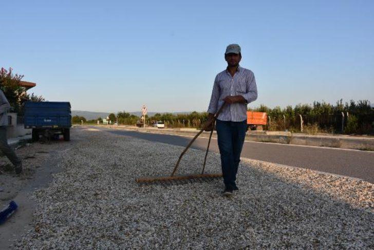 Bursa'da çekirdeği kurutmak için yolun birer şeridini kapattılar G3