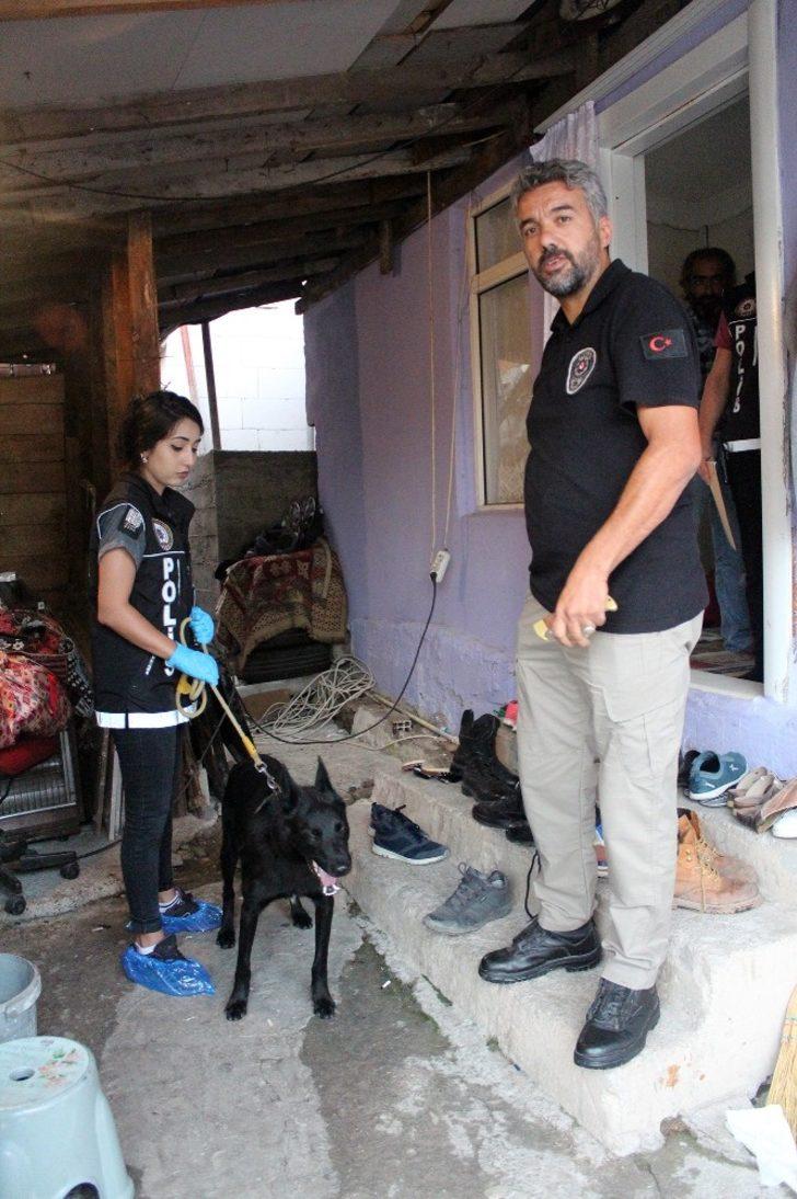 Yalova'da uyuşturucu tacirlerine şafak baskını G5