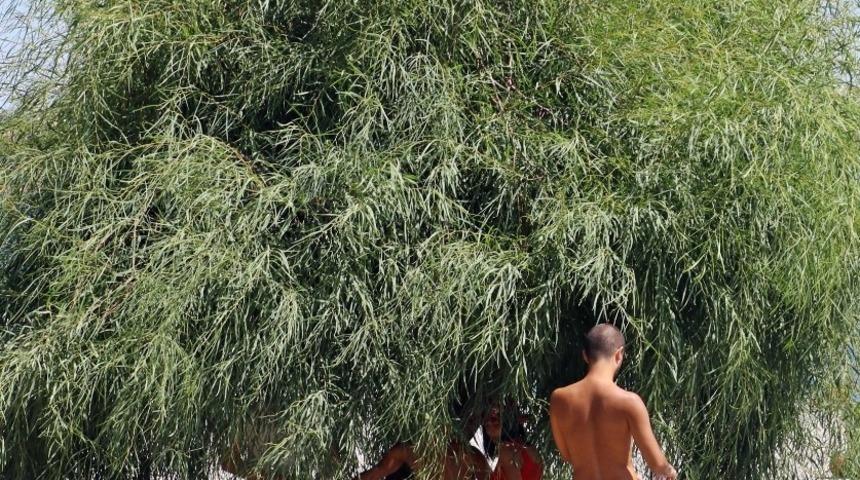 Doğu&rsquo;da hava sıcaklığı artıyor