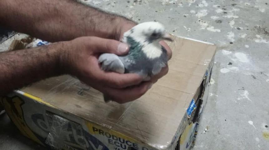 Kars’ta jandarma kaçak avcıları suçüstü yakaladı