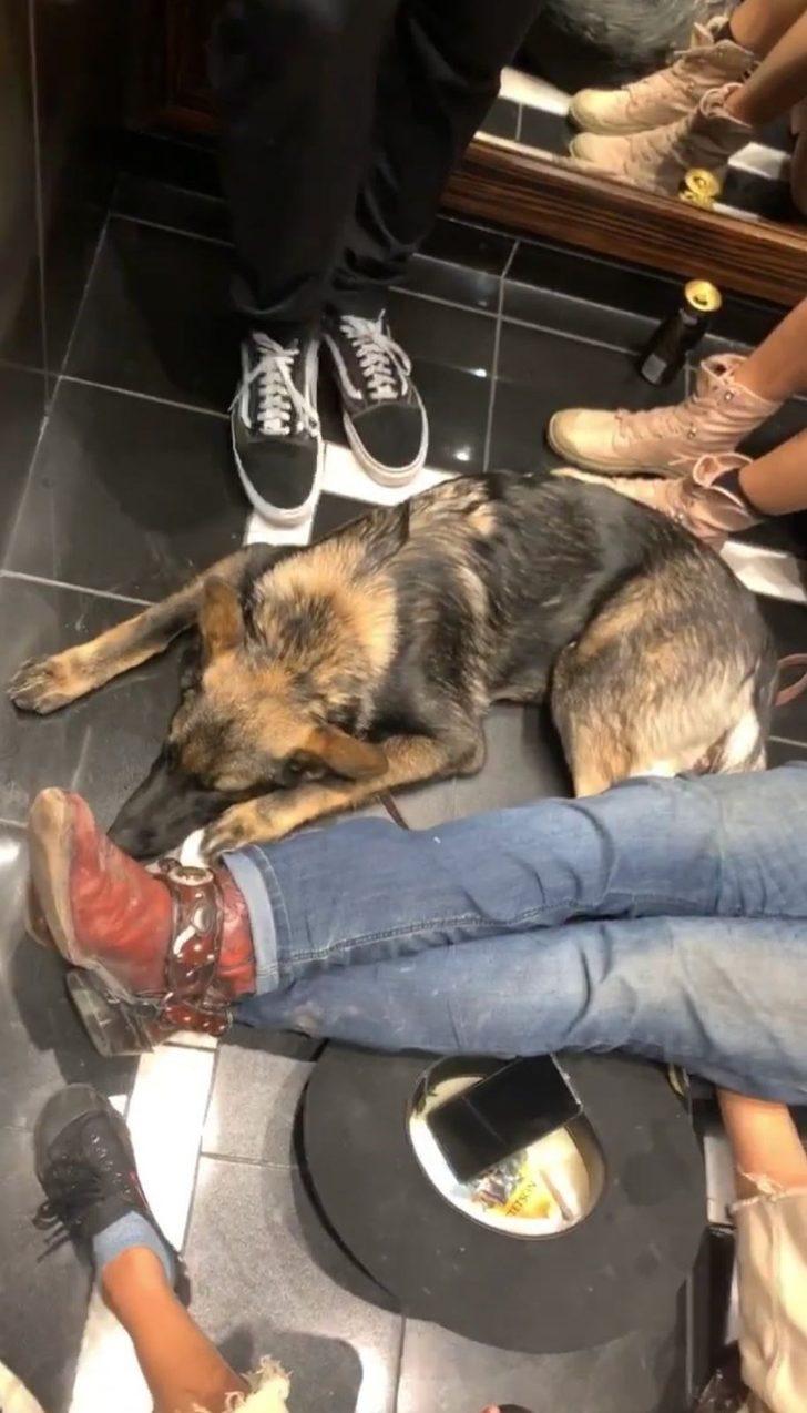 Jason Momoa iki saat asansörde mahsur kaldı G4