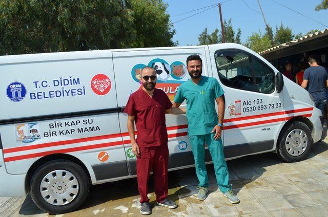 Didim’de sokak hayvanlarının bir ambulansı oldu