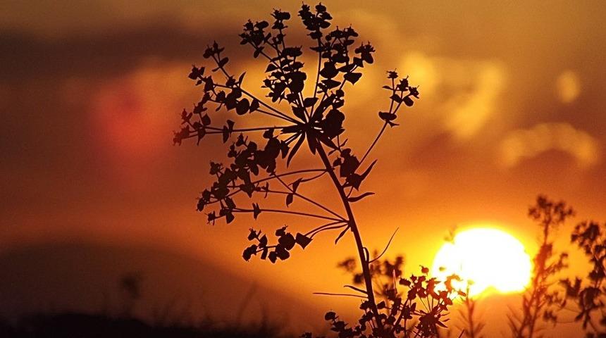 Bayburt&rsquo;ta hava durumu