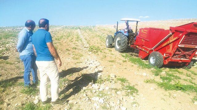 Ziraat odası taş toplama makinası aldı