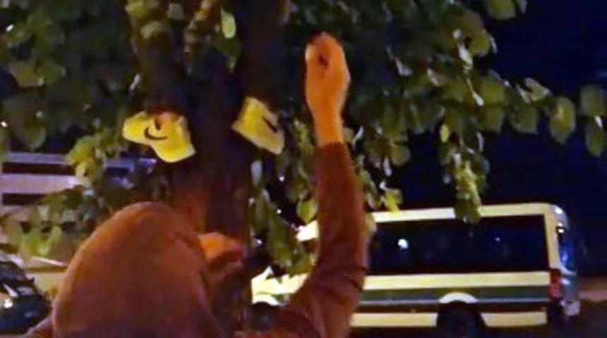 Gen&ccedil;lerden kedi kurtarma operasyonu