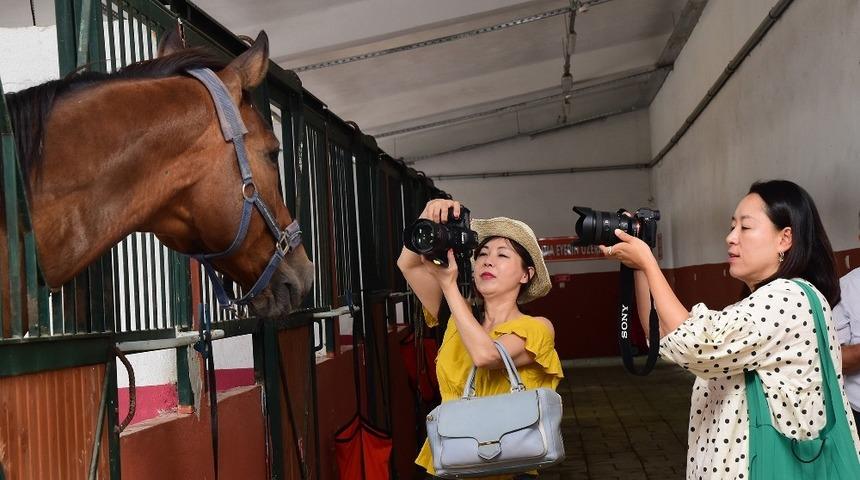 Güney Koreli bloggerların at keyfi