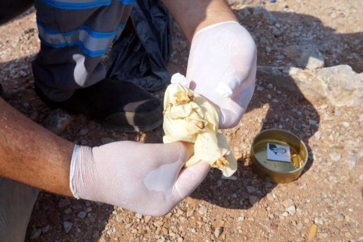 Marmaris'te çevre temizliği sırasında bulunan kutudan çıkanlar şoke etti G4