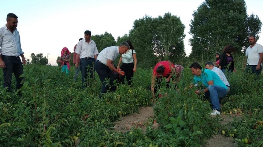 Kardeş ilçe Kumluca heyetinden Tatvan ziyareti