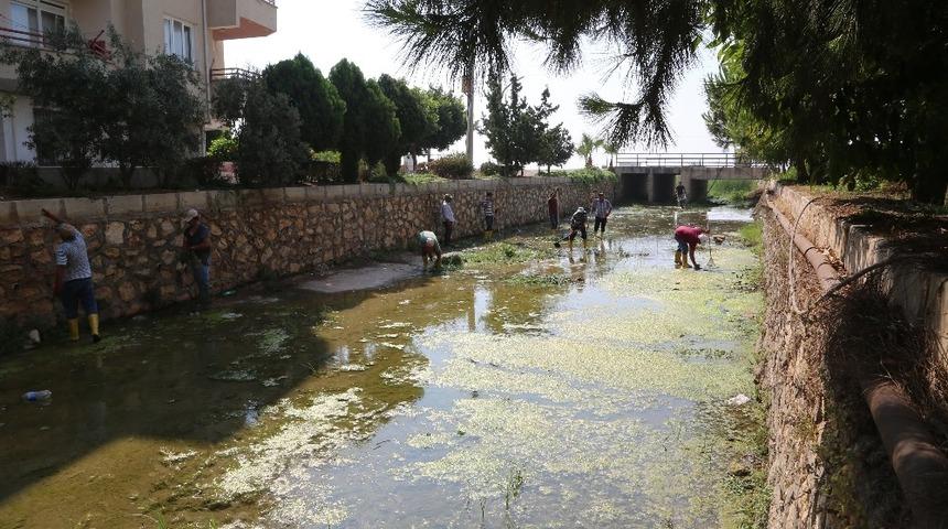 Erdemli&rsquo;de dere yatakları temizlendi