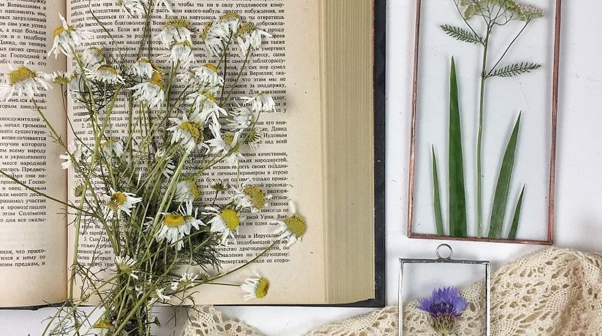 Çiçekleri çok seviyordu! Onlarla öyle bir şey yaptı ki...