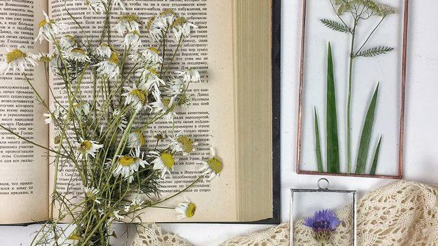 Çiçekleri çok seviyordu! Onlarla öyle bir şey yaptı ki...